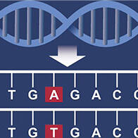 九州大學初創企業與京都大學iPS研究財團簽訂基因組編輯聯合研究協議