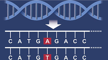 九州大學初創企業與京都大學iPS研究財團簽訂基因組編輯聯合研究協議
