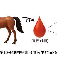 理研開發出全球首個mRNA基因類促效劑檢測技術，只用一滴血10分鐘內即可檢出mRNA藥物