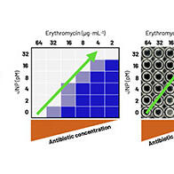 大阪大學產研等利用新開發的雅努斯奈米顆粒恢復抗菌藥效，有望解決耐藥菌難題