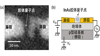 日本東北工業大學實現單膠質量子點自旋控制，有望應用於電子器件
