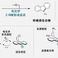 橫濱國立大等研發出新型電化學開關型催化分子，實現質子與電子的協同遷移