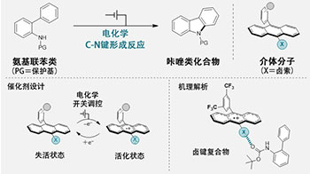 橫濱國立大等研發出新型電化學開關型催化分子，實現質子與電子的協同遷移