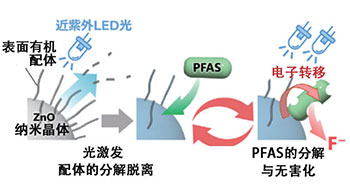 利用低毒性低成本的ZnO奈米晶光催化特性，輕鬆降解有機氟化合物PFAS