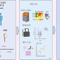 京都大學團隊發現CAR-T細胞療法生物標誌物，有望提升急性淋巴細胞白血病熟化速率