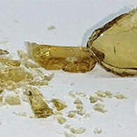 北里大學與大阪公立大學、全球首次開發與產品化不依賴稀有金屬的有機矽固化用鐵觸媒