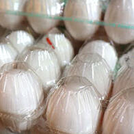 日本成育醫療中心：早期攝入雞蛋，過敏病例並未見顯著減少