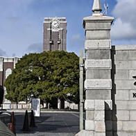 京都大學發現抑制工作意願的腦神經，為闡明抑鬱症機制開闢道路