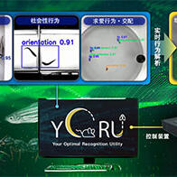 名古屋大學開發AI工具，解析生物複雜行為