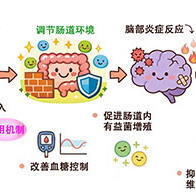 魚類蛋白質可預防老化導致的短期記憶衰退，通過改善腸道環境抑制腦部發炎