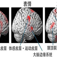 理研：不是「因快樂而笑」而是「因為笑所以快樂」