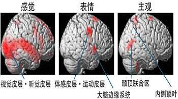 理研：不是「因快樂而笑」而是「因為笑所以快樂」