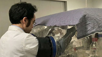 名古屋大學發現腸道細菌引發便秘的新機制