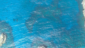 日本海上保安廳於小笠原諸島海域發現日本境內第三處海底喀斯特地形