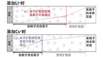 理研：有效抑制水電解產生的氯氣，新型擴散層有望減少離子電極到達量