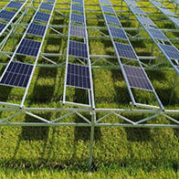 千葉大學等調查光伏板對水稻的「遮涼傘」效果，可維持產量