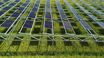 千葉大學等調查光伏板對水稻的「遮涼傘」效果，可維持產量