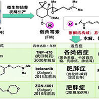 名古屋大學等將此前無法成藥的天然化合物轉化為阿米巴痢疾藥物，確立利用微生物的新型合成法