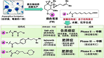 名古屋大學等將此前無法成藥的天然化合物轉化為阿米巴痢疾藥物，確立利用微生物的新型合成法
