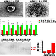 東京大學等成功利用光觸媒滅活高致病性禽流感病毒