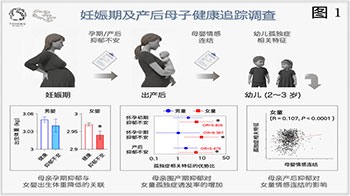 東北大學：母親圍產期抑鬱對子女行為特徵的影響存在性別差異，女童較為顯著