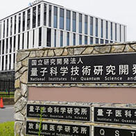 量研機構開發出可同時用於治療和診斷的放射性藥品，已在小鼠中驗證有效