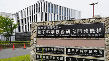 量研機構開發出可同時用於治療和診斷的放射性藥品，已在小鼠中驗證有效