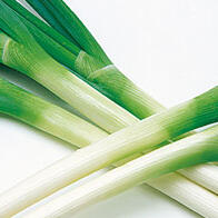 埼玉工業大學用深谷蔥製造塑膠產品，升級廢棄物回收提振農戶活力