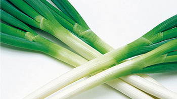 埼玉工業大學用深谷蔥製造塑膠產品，升級廢棄物回收提振農戶活力