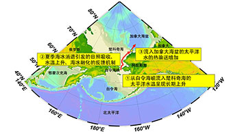 JAMSTEC：受長期水溫上升和海冰減少的影響，流入太平洋一側北冰洋的海洋熱輸送量20年內增加了1.5倍