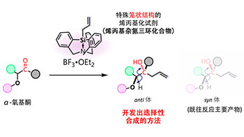 大阪大學利用籠狀結構新型試劑，成功控制分子的空間排列
