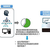 東京大學開發出可提升血液癌症基因面板檢測精度的預測模型