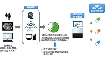 東京大學開發出可提升血液癌症基因面板檢測精度的預測模型