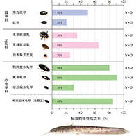 神戶大學發現小型水生昆蟲即便被鯰魚吞食亦可生還，會用腳在魚口中抵抗