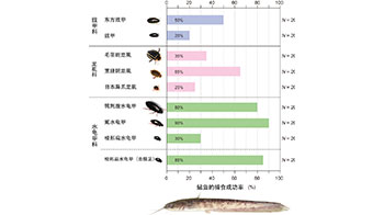 神戶大學發現小型水生昆蟲即便被鯰魚吞食亦可生還，會用腳在魚口中抵抗