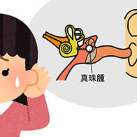 慈惠醫科大學發現治療急性白血病的藥物對難治性慢性中耳炎有效