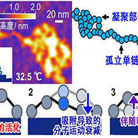 九州大學與東京科學大學發現界面非平衡行為決定黏合劑性能，有望開發出「牢固粘接、輕鬆剝離」的新技術