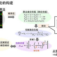 不相鄰的元素究竟能混合到何種程度？日本原子能機構使用晶體幾何學推導新理論為合金設計提速