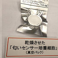 日本農研機構成功製備出可常溫乾燥保存的氣味感測器培養細胞