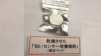 日本農研機構成功製備出可常溫乾燥保存的氣味感測器培養細胞