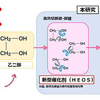 高知工科大學與東京科學大學開發出多元素觸媒，將廢塑膠轉化為甲酸