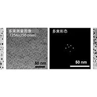 東京科學大學等開發出新型多束型電子顯微鏡技術，實現高速、高分辨率、低劑量