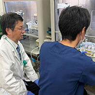 京都府立醫科大學等利用mRNA開發「小型抗體」，用於治療細菌感染