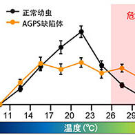 日本生理研等發現規避疼痛和高溫至關重要的脂質，並在果蠅中得到證實