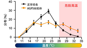 日本生理研等發現規避疼痛和高溫至關重要的脂質，並在果蠅中得到證實