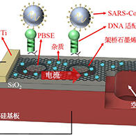 豐橋技科大、產綜研、東洋大學合作開發出IoT生物感測器，同時測量病毒的「質量」與「個數」