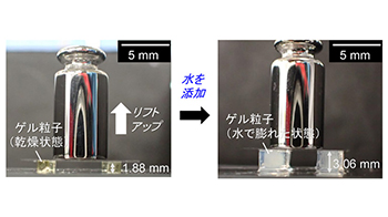 大阪工業大學開發出遇水膨脹能「舉重」的立方體聚合體凝膠粒子