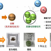 北里大學與富士聚合物工業：提升機矽固化用鐵觸媒空氣耐性的膠囊封裝技術，為全球首創