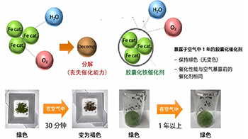 北里大學與富士聚合物工業：提升機矽固化用鐵觸媒空氣耐性的膠囊封裝技術，為全球首創