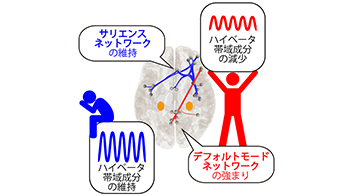高知工科大學：明確大腦活動峰值時間點，適應壓力的關鍵在壓力出現「1小時後」